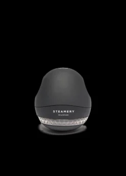 Garmentcare Steamery Pilofabricshaver